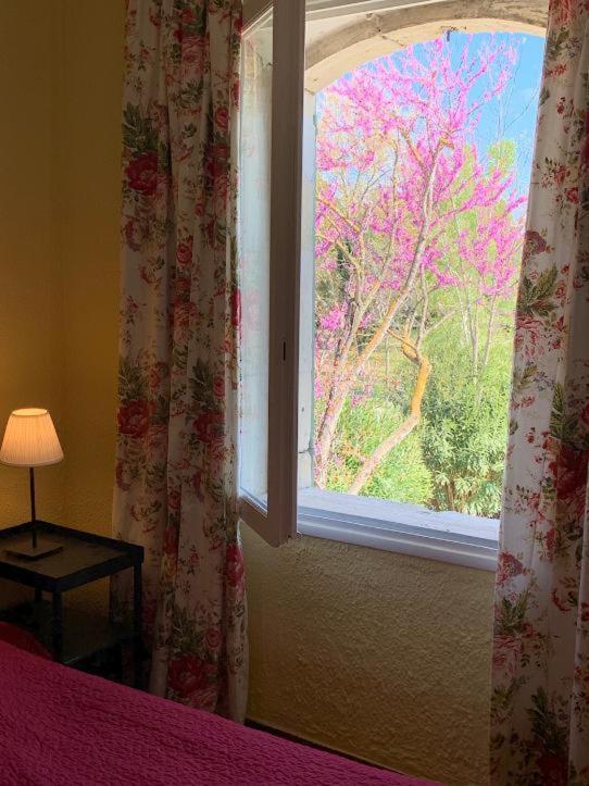 Mas Antonelle Villa Arles Dış mekan fotoğraf