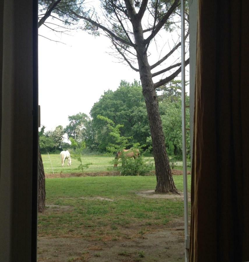 Mas Antonelle Villa Arles Dış mekan fotoğraf